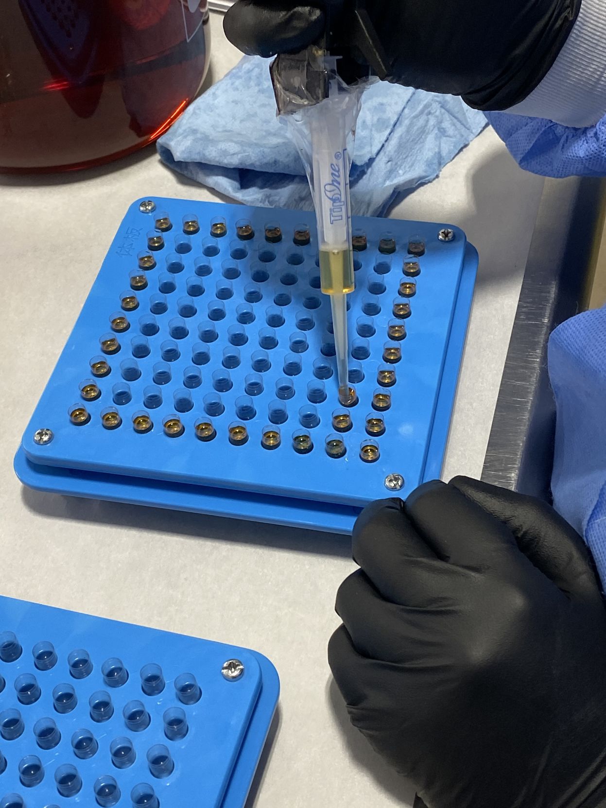 Cannabis capsules